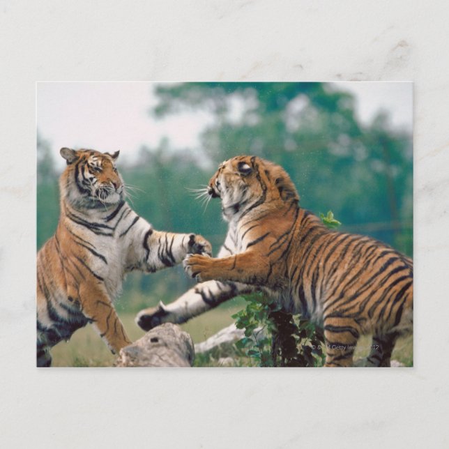 23899157 POSTCARD (Front)