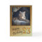 23rd Birthday Card with a snow leopard