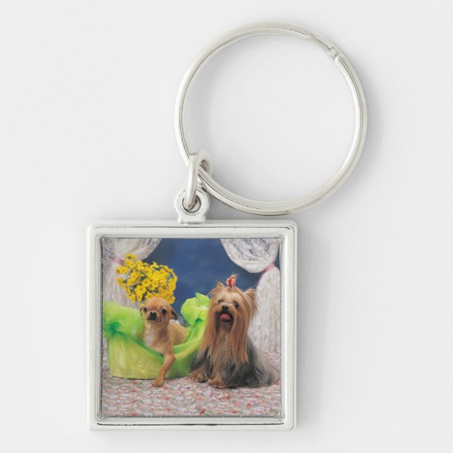 24095240 KEY RING (Front)