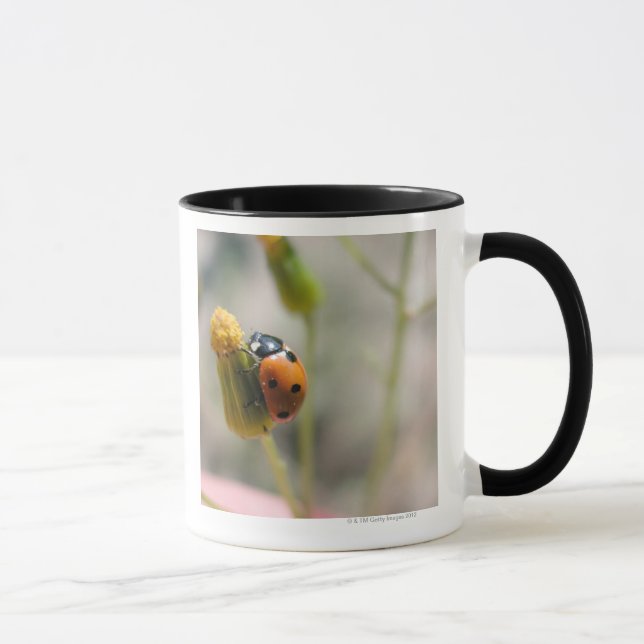 24102385 MUG (Right)