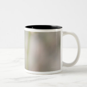 24102385 Two-Tone COFFEE MUG
