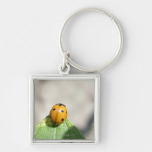 24102386 KEY RING