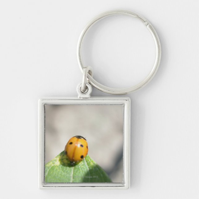 24102386 KEY RING (Front)