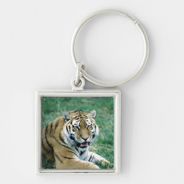 24103189 KEY RING (Front)