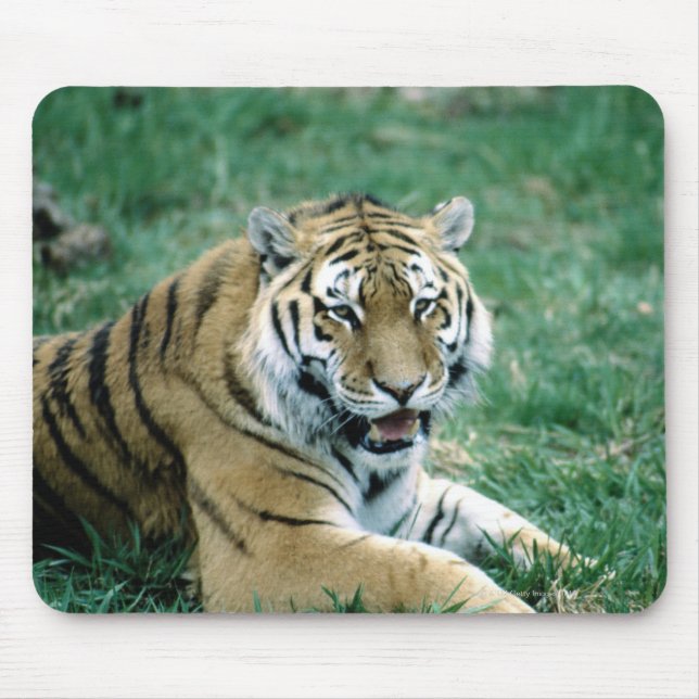 24103189 MOUSE PAD (Front)