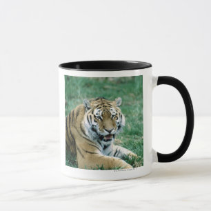 24103189 MUG