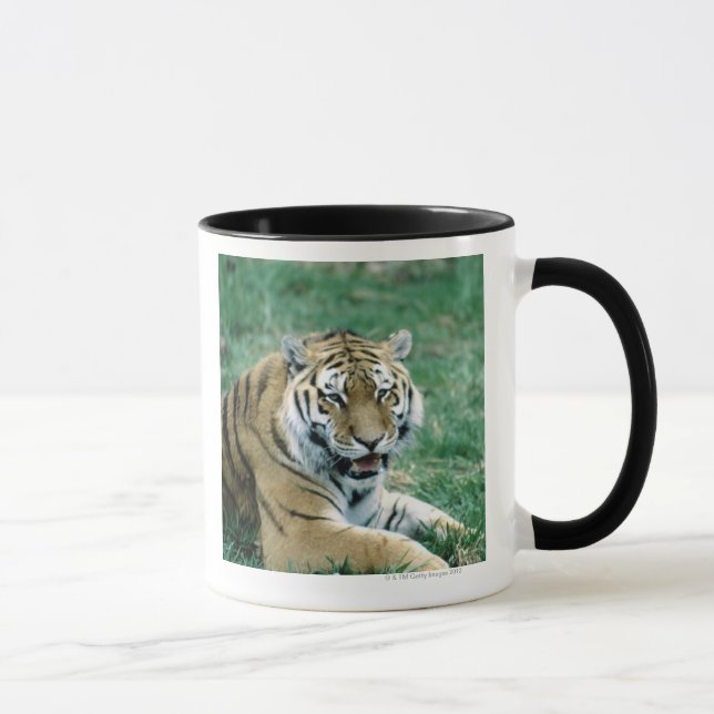 24103189 MUG (Right)