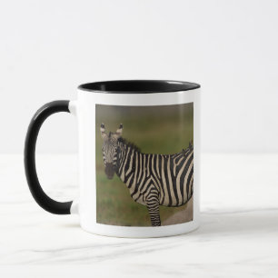 24109277 MUG