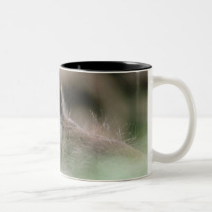 24112466 Two-Tone COFFEE MUG