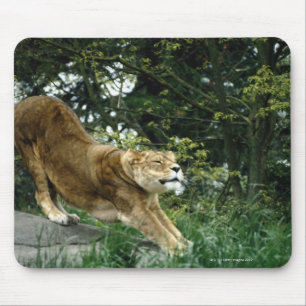 24114343 MOUSE PAD