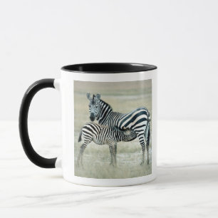 24114480 MUG