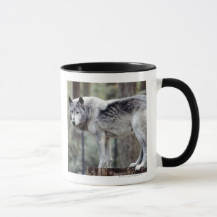 24114488 MUG