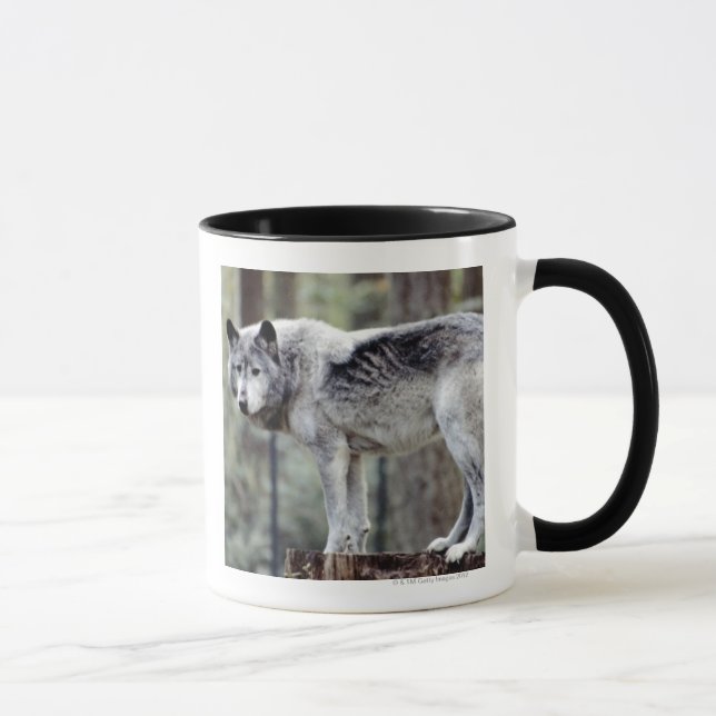 24114488 MUG (Right)