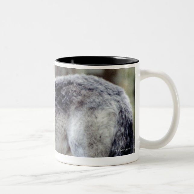 24114488 Two-Tone COFFEE MUG (Right)