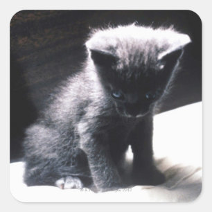 24117556 SQUARE STICKER