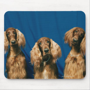 24119671 MOUSE PAD