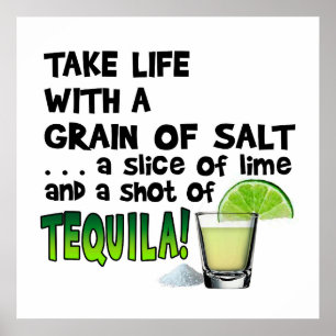 24" X 24" POSTER - LIFE, LIME, SALT, TEQUILA!