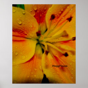 24" x 24", Value Poster Paper (Matte)