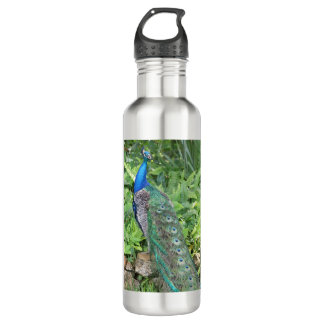 24oz Stainless Steel Florida Peacock Water Bottle