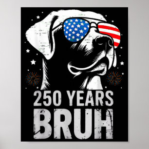 250 Years Bruh Patriotic Labrador Retriever Dog Poster