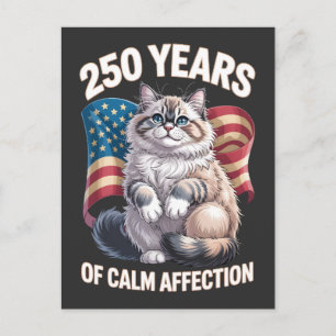 250 Years of Calm Affection Ragdoll Cat Postcard