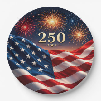 250th Anniversary Patriotic Fireworks Flag Party D Paper Plate