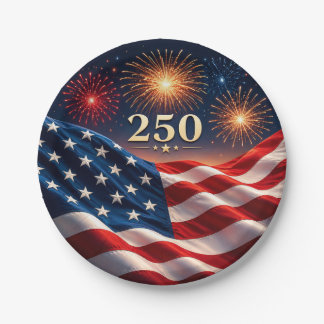 250th Anniversary Patriotic Fireworks Flag Party Paper Plate