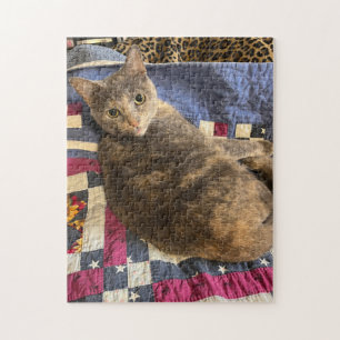 252 piece puzzle