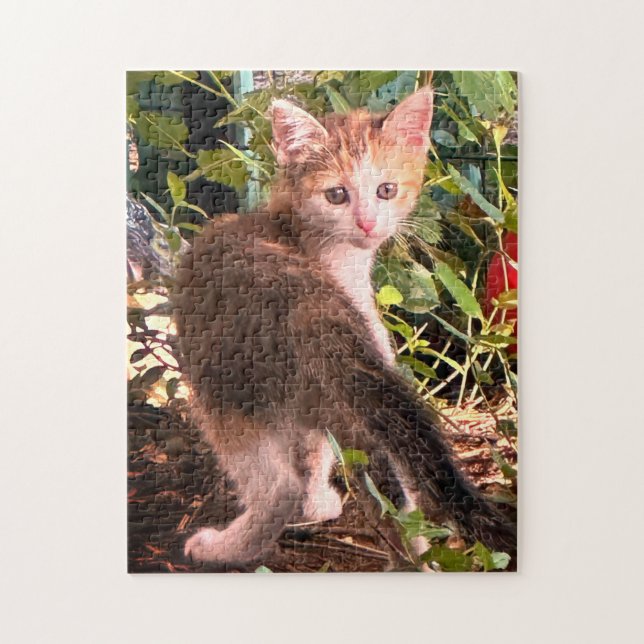 252 piece puzzle (Vertical)