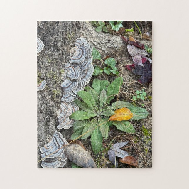 252 piece puzzle (Vertical)