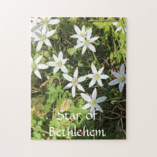252 piece puzzle