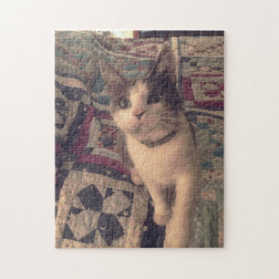 252 piece puzzle