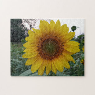 252 Piece Puzzle Featuring a Bold Sunflower Photo