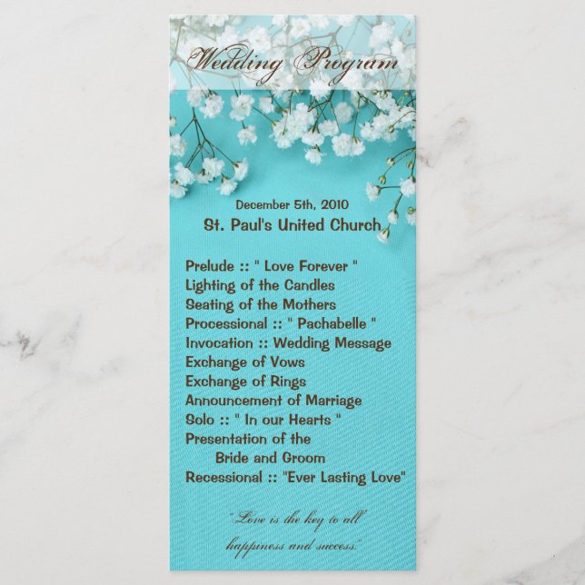 25 4x9 Wedding Program Babys Breath Spring Flower (Front)