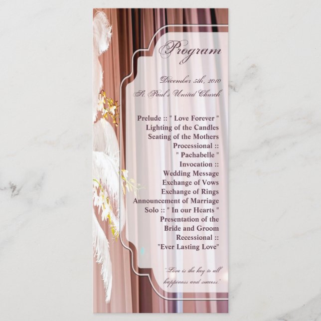 25 4x9 Wedding Program Feather Centre Piece Glam (Front)