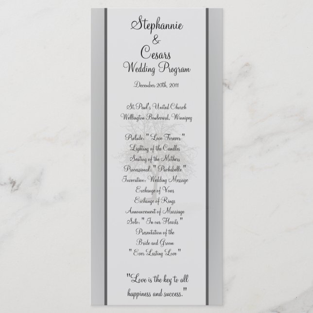 25 4x9 Wedding Program Grey Winter Trees Snow Bare (Front)