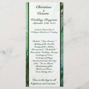 25 4x9 Wedding Program Peacock Green Feathers