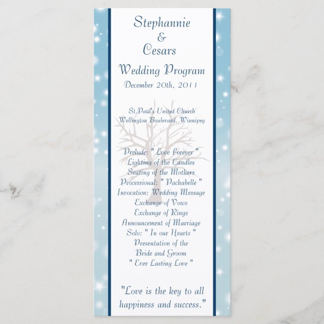 25 4x9 Wedding Program Twinkling Snow / Bare Tree (Front)