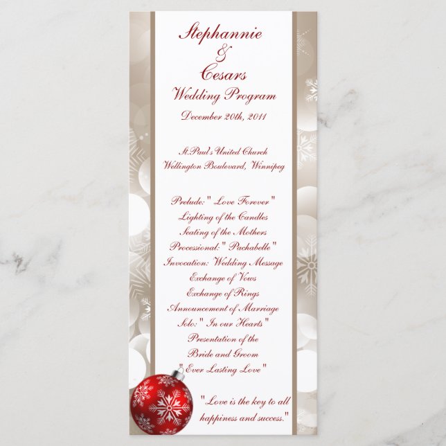 25 4x9 Wedding Program Winter Blur (Front)