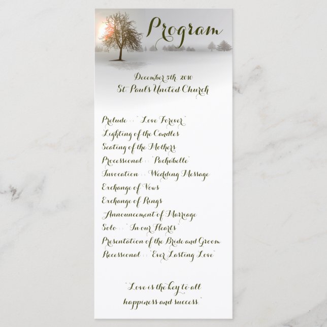 25 4x9 Wedding Program Winter Wonderland Trees Sno (Front)