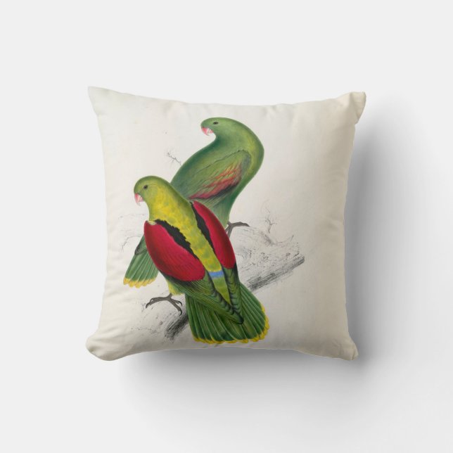 #25-Crimson-winged parrakeet pair Cushion (Front)