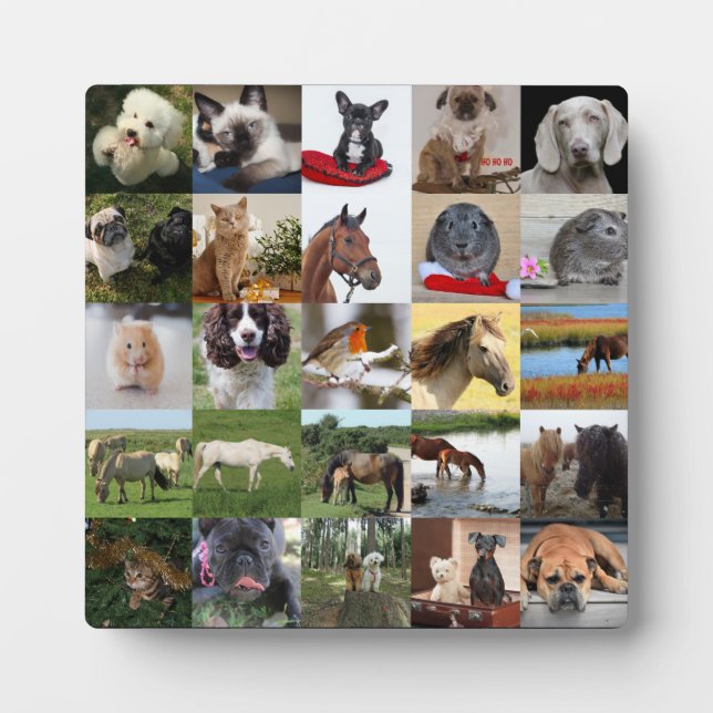 25xPhoto Colage Plaque - ANY Occasions (Front)