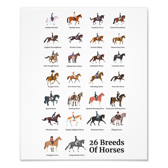 26 Horse Breeds Photo Print (Front)