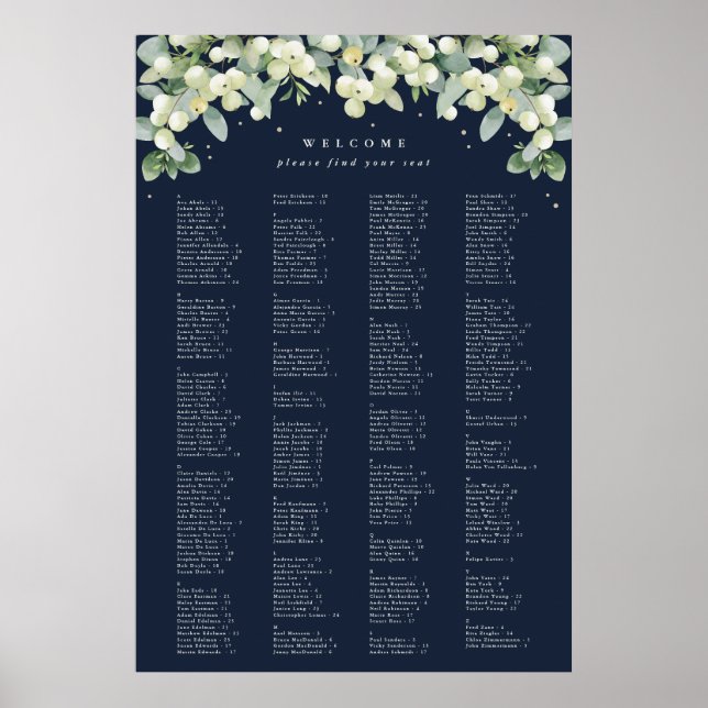26 x 38" Alphabetical Seating Chart for 250 People (Front)