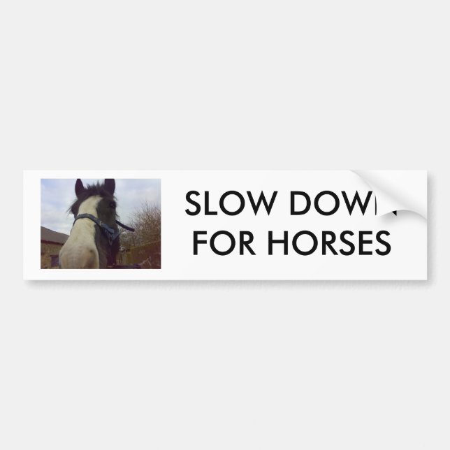 27012007032(1), SLOW DOWN FOR HORSES BUMPER STICKER (Front)