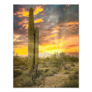 2706-Desert Landscape at Sunset Photo Print