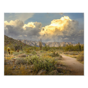 2729-Arizona Desert Landscape at Sunset Photo Print
