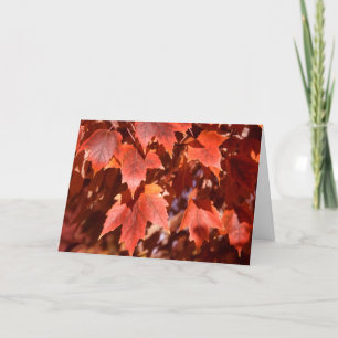 2767 Autumn Maple Leaves Birthday Card