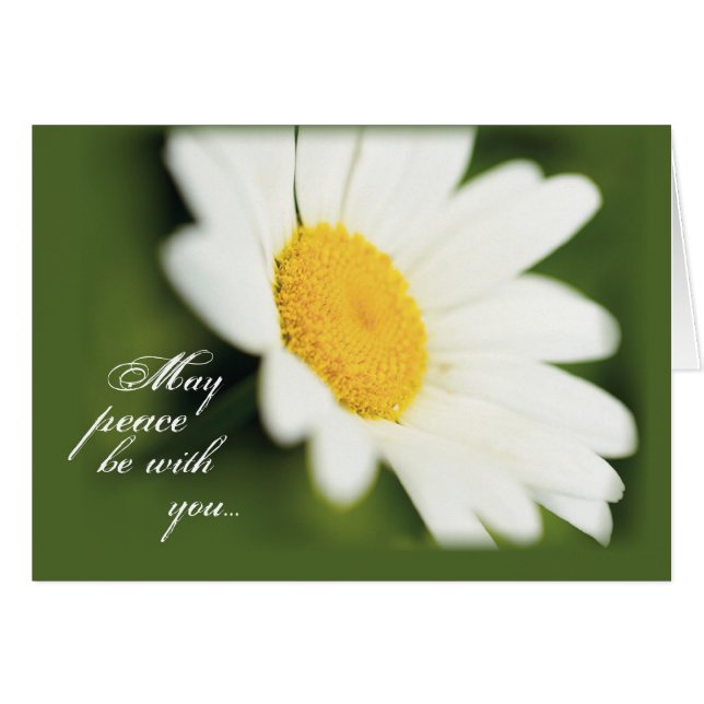 2771 Peace Daisy (Front Horizontal)