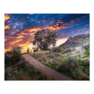 2815-Desert Landscape at Sunset Photo Print